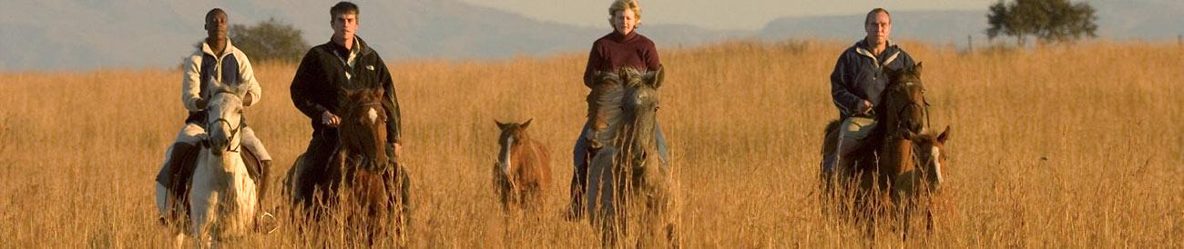Ultimate KwaZulu Natal Explorer