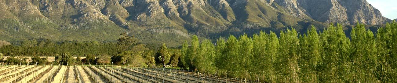 Romantic Cape Town & Winelands Explorer