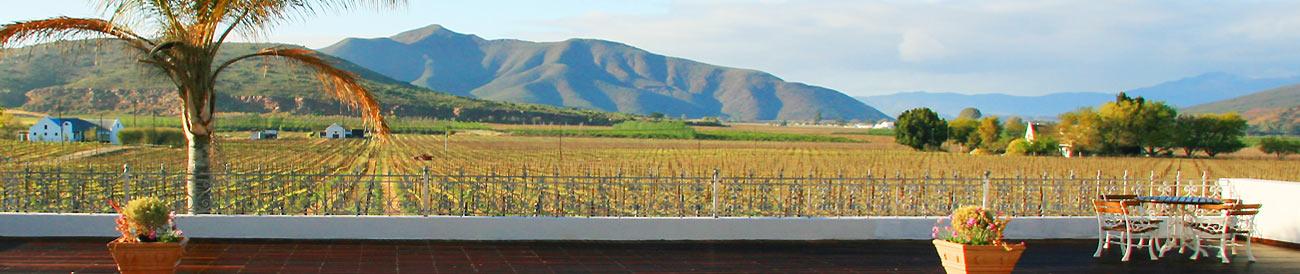 Affordable Cape Town, Garden Route & Safari