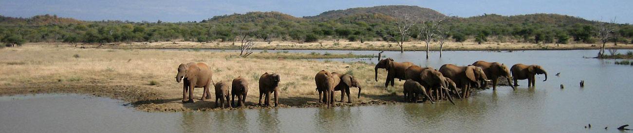 Cape Town, Winelands & Kruger Family Holiday