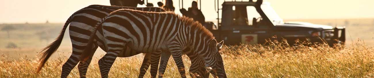 Romantic Kenya Wildlife Safari