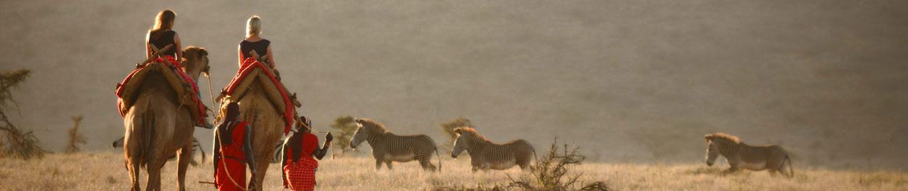 Memorable Laikipia & Mara Adventure