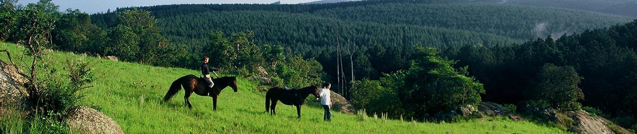 Affordable Luxury South African Holiday