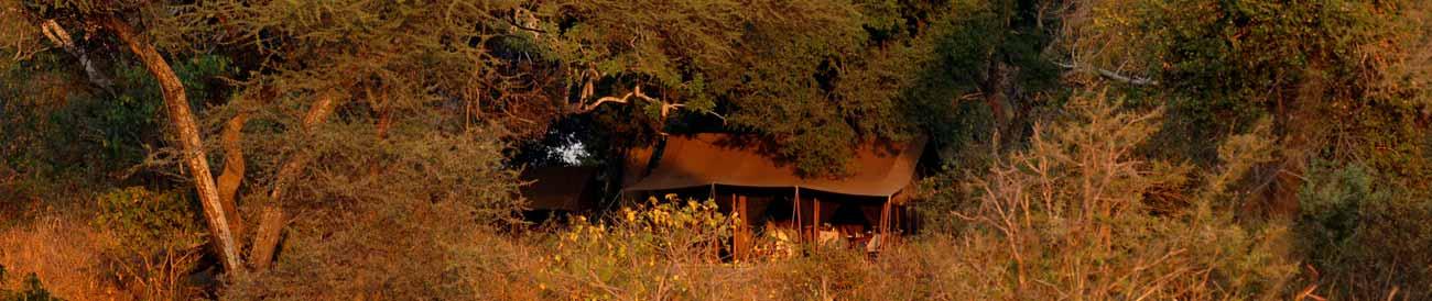 Sensational Secret Tanzania Discovery