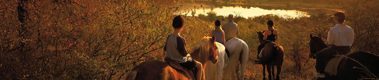 Cape Town, Sun City & Kruger Family Journey