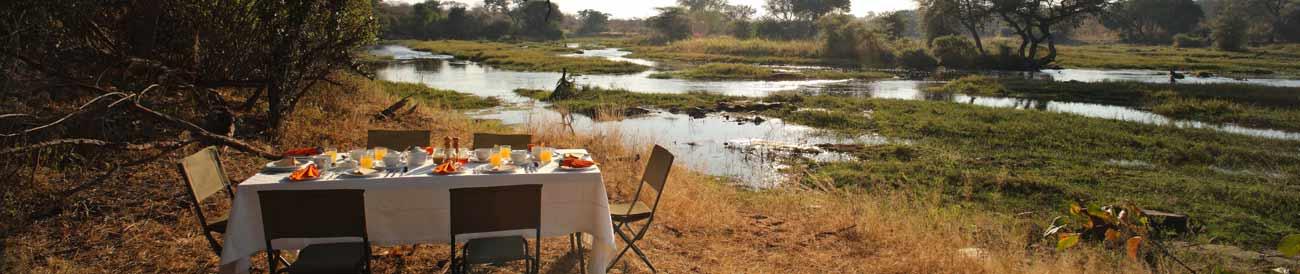 Spectacular Selous & Ruaha Respite