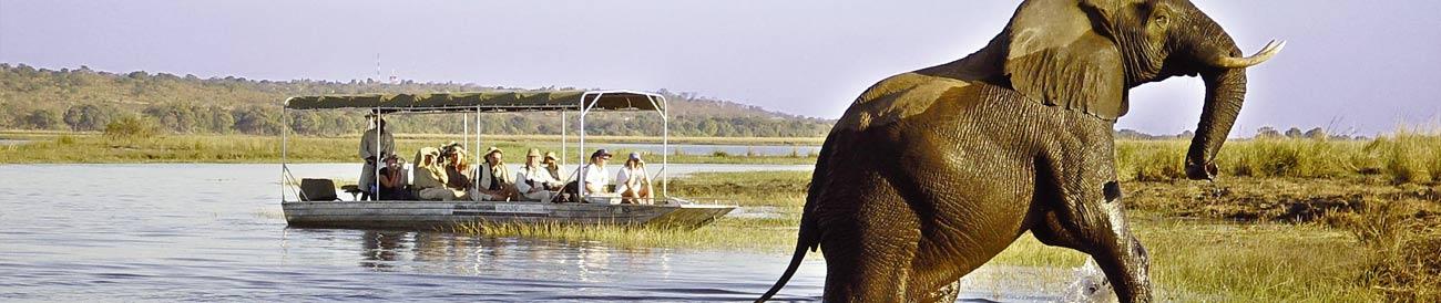 On Safari In Livingstone & Chobe