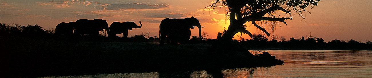 Best of Botswana Fly-in Safari