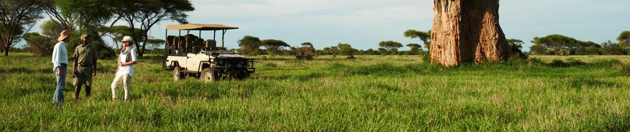 Magical Singita & Mozambique Journey