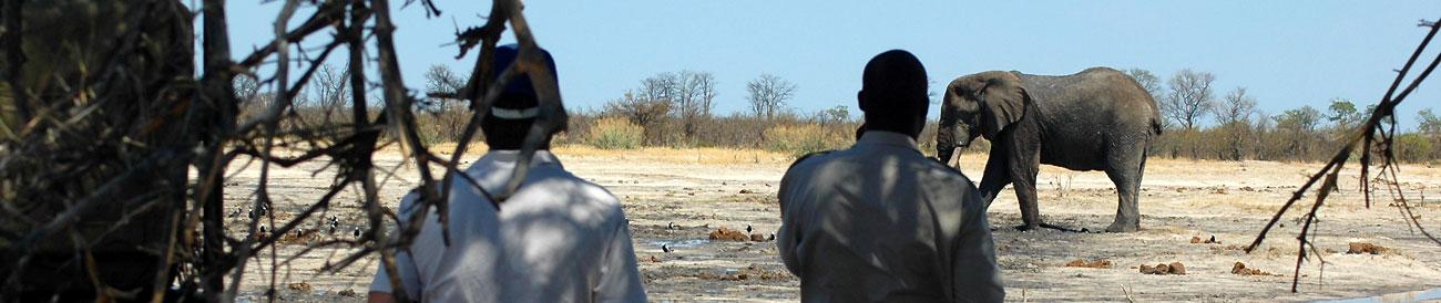 Cape Town, Kruger, Vic Falls & Chobe Adventure Holiday