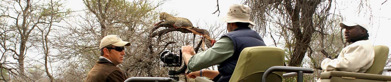Londolozi - a private Big 5 game reserve known for phenomenal leopard sightings.