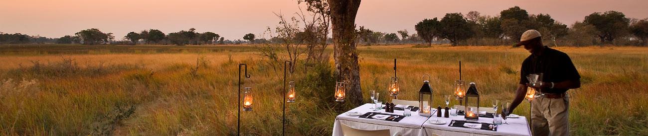 Luxury Okavango Delta Fly-In Honeymoon Safari