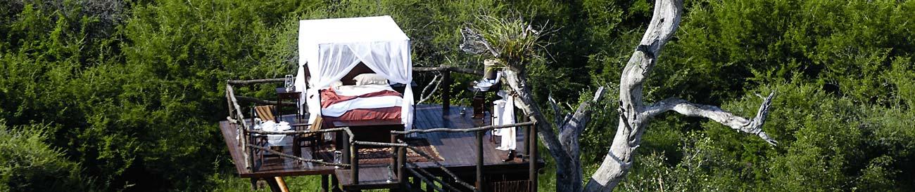 Lion Sands - a family-owned and managed Sabi Sands reserve with three luxurious lodges and a unique tree house for a night out under the stars.