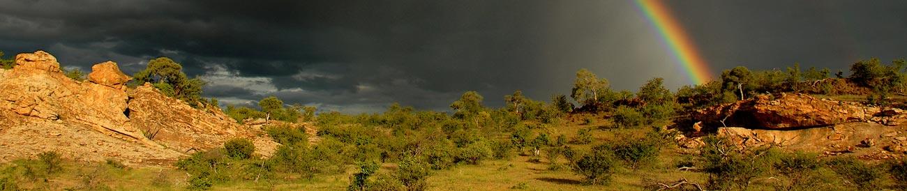 Tuli Block - tucked away in the remote south-eastern corner of Botswana, the Tuli Block offers spectacular, game-filled landscapes dotted with baobabs and rocky outcrops.