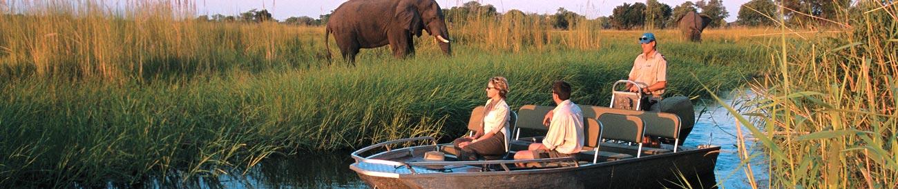 Chobe River - offering some of the best boat and land-based game viewing in Africa, a dry-season Chobe River safari is always richly rewarding.