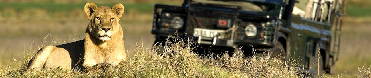Moremi Game Reserve - exceptional year-round game viewing, superb bird watching and stunning scenery are all part of a Moremi safari.