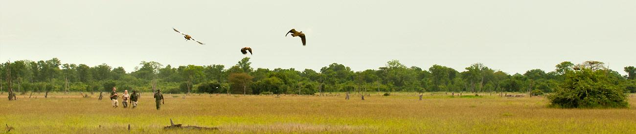 A Luangwa Family Safari