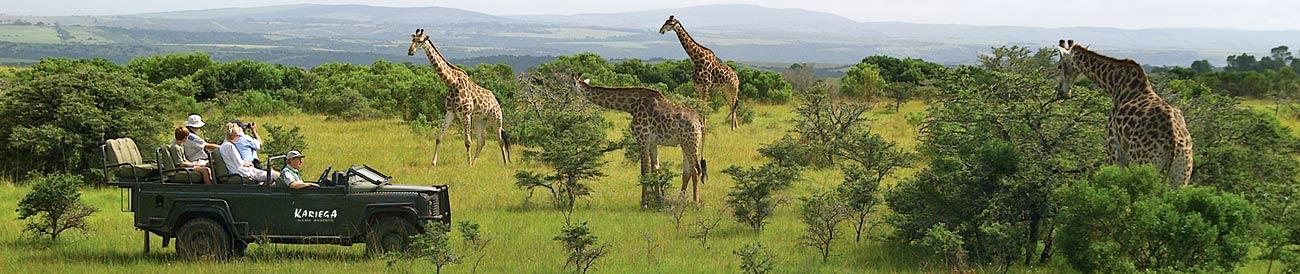 Affordable Garden Route & Safari Family Holiday