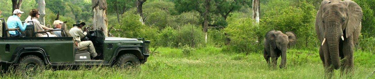 Sabi Sands Game Reserve - sharing an unfenced border with the Kruger National Park, this famous Big 5 reserve is world famous for its excellent game viewing and luxury accommodation.