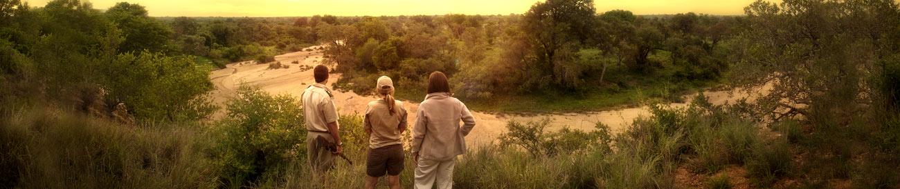 Timbavati - this famous private reserve is set next to the Kruger Park and is best known for its population of white lions.