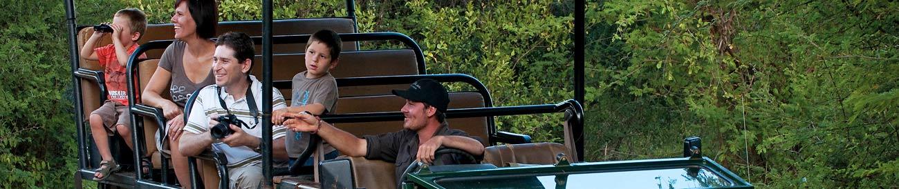 Cape Town and Madikwe Safari Family Package