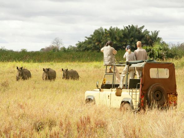 Adamson's Footsteps Kenya Explorer