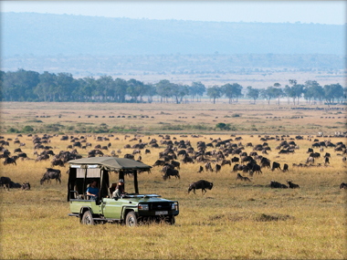 Migration Safaris