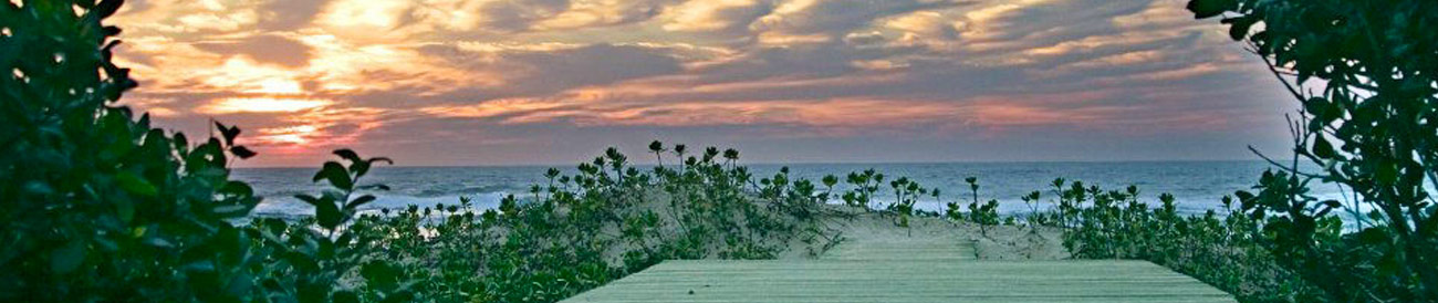 KwaZulu-Natal coast - discover South Africa's wildest and most beautiful coastline, famous for its exceptional sunsets, wildlife and dive sites.