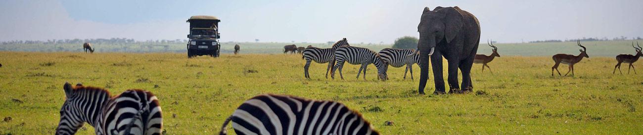 Decadent Kenya & Seychelles Delight