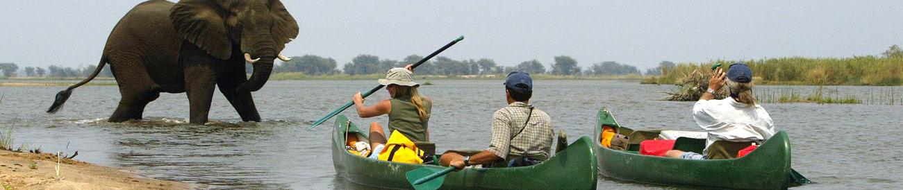 Mana Pools National Park - experience a true taste of wild African with a canoe safari at Mana Pools - it's definitely one for the adventurous!