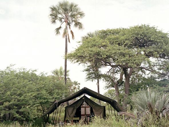 Camp Kalahari - Tent3