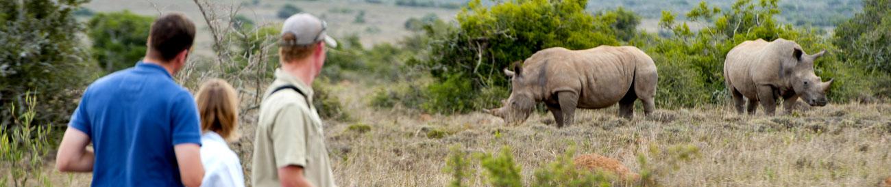 Malaria-free Safaris - perfect for families, a safari in one of South Africa's top malaria-free reserves means all the thrills of superb game viewing but none of the worries.