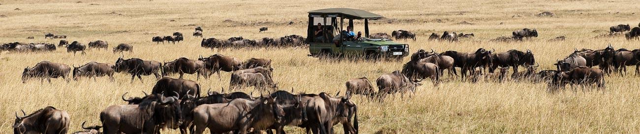 Migration Safaris - get front row seats to the incomparable wildebeest migration in the Serengeti and Masai Mara, one of Africa's greatest wildlife spectacles.