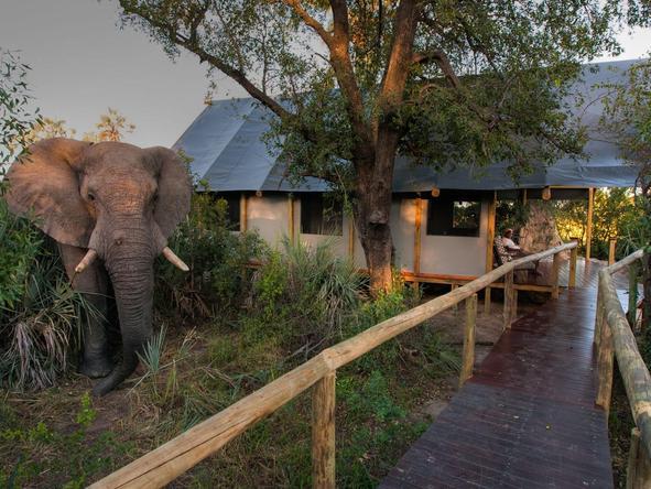 Chitabe Lediba - tent outdoor
