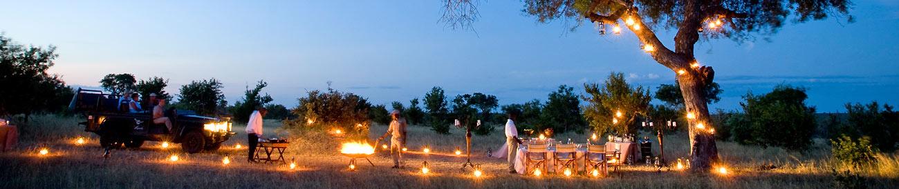 Luxury Kruger and Phinda Safari