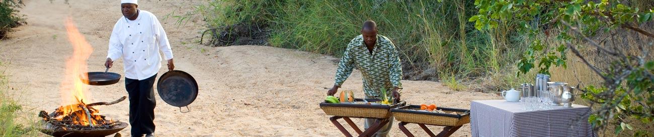 Diverse South African Safari