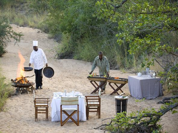 Diverse South African Safari