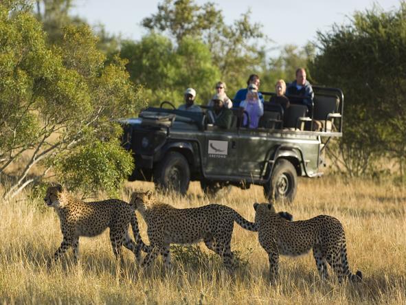 Classic Kruger and Phinda Safari