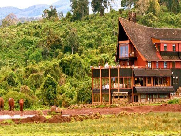 Sensational Kenya Simba Safari