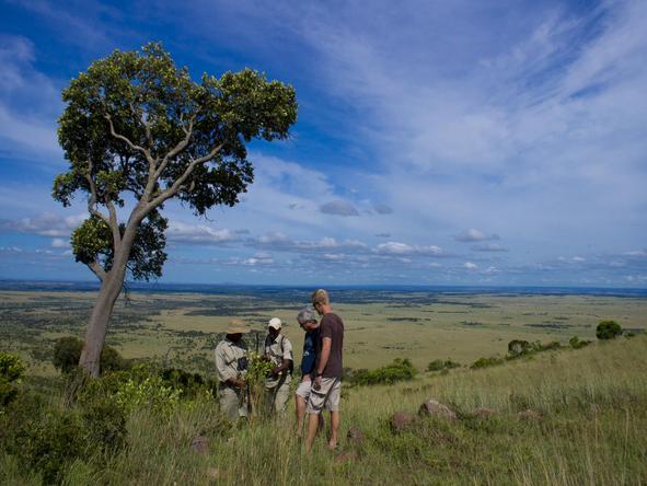 Klein's Camp - game drive