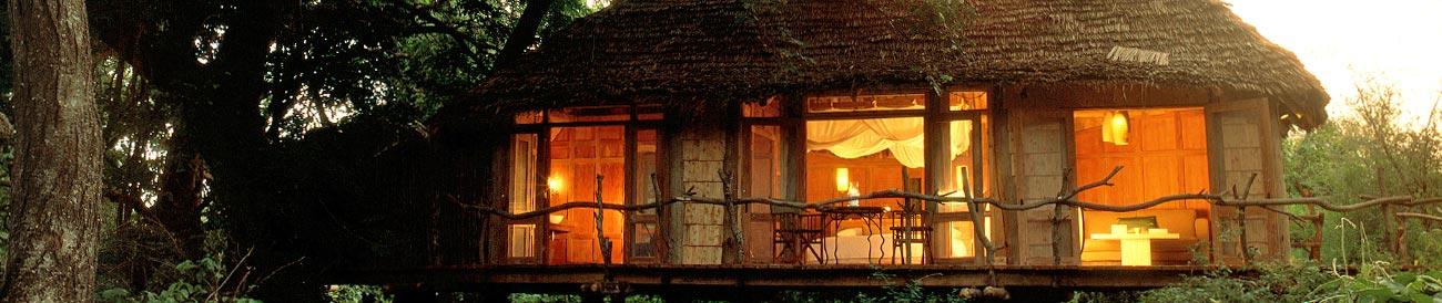Lake Manyara Tree Lodge