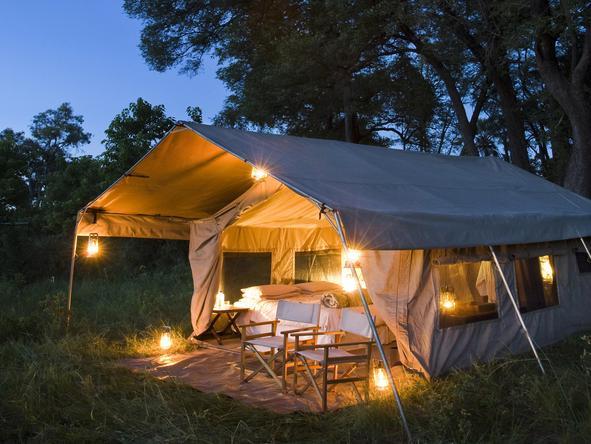 Epic Botswana Safari