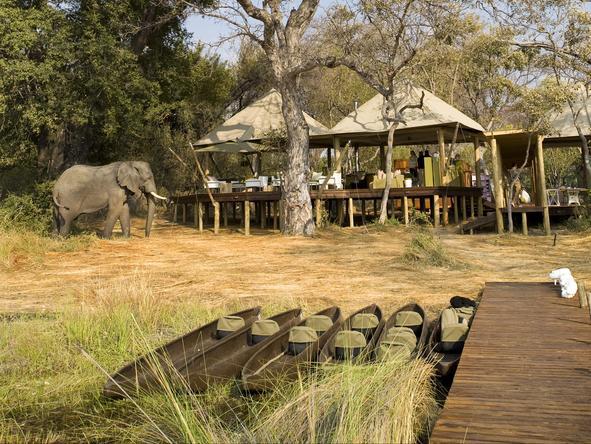 Xaranna Tented Camp - Wildlife 