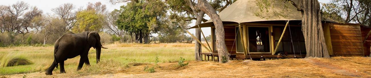 Xaranna Tented Camp
