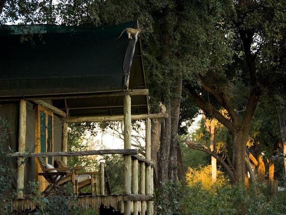 Duba Plains Camp - private deck