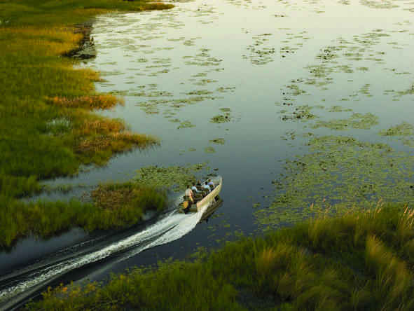 Eagle Island Camp - boat excursions in the Delta