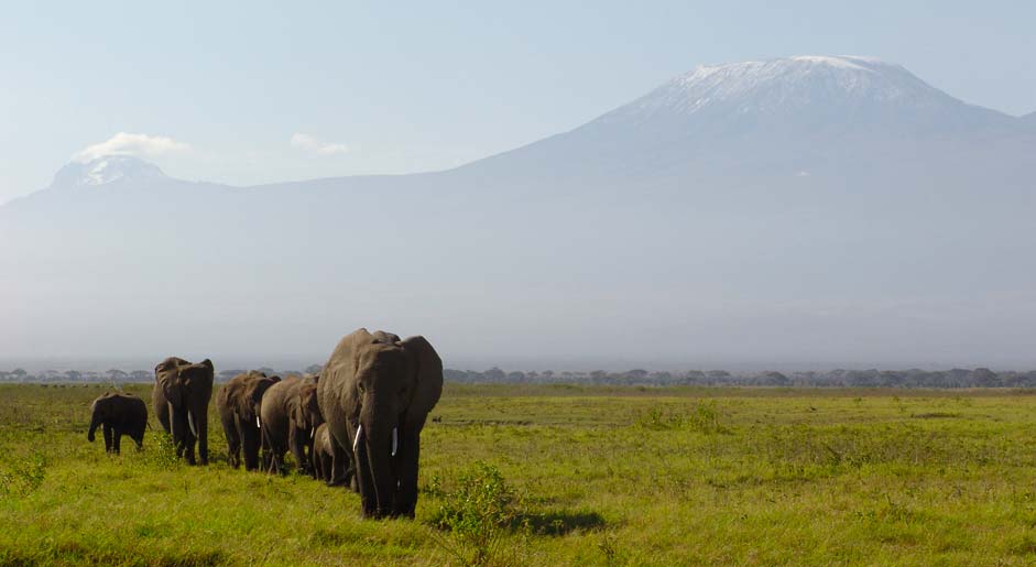 Classic Kenya Adventure Safari