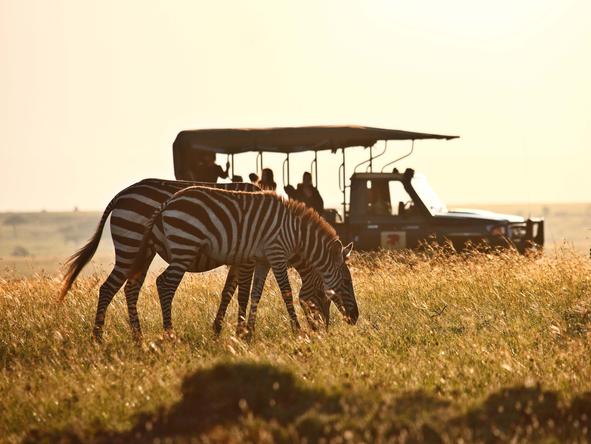 Romantic Kenya Wildlife Safari