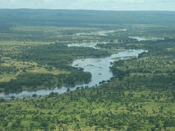 Southern Tanzania Safari Adventure