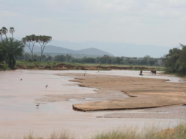 Discover Kenya Wilderness Journey